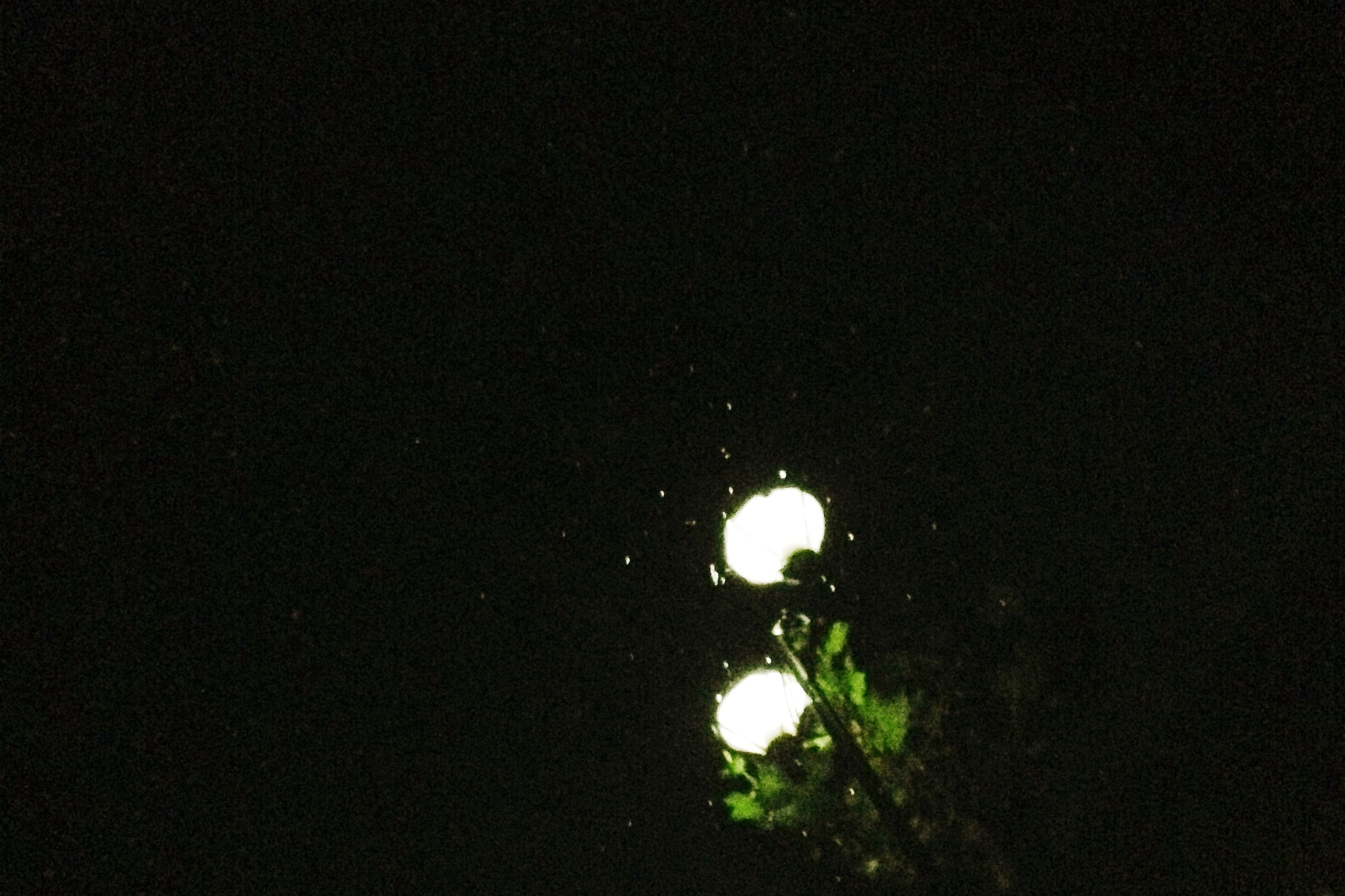 image6