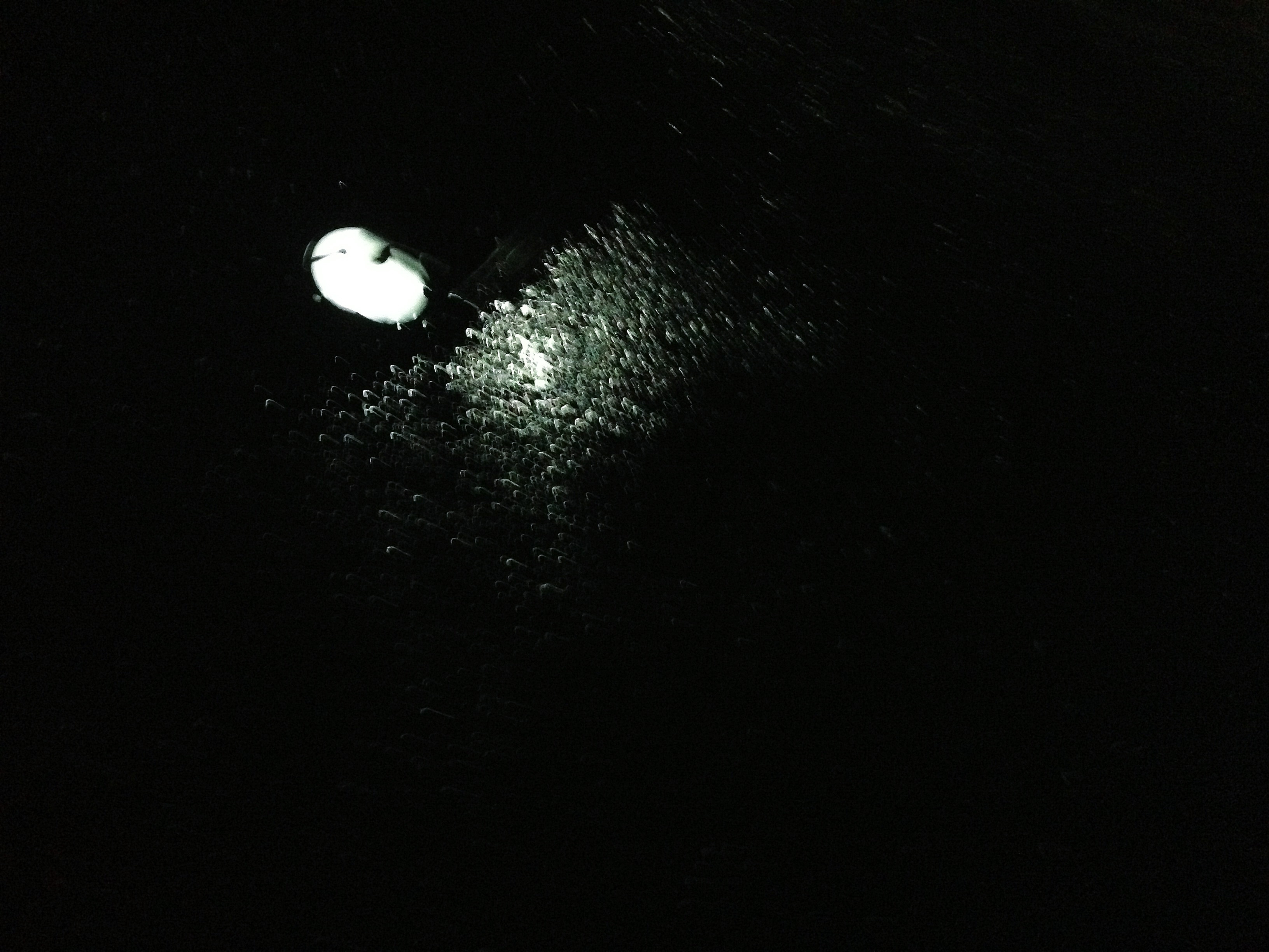 image7
